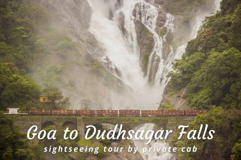 One Day Goa to Dudhsagar Waterfalls Trip by Car