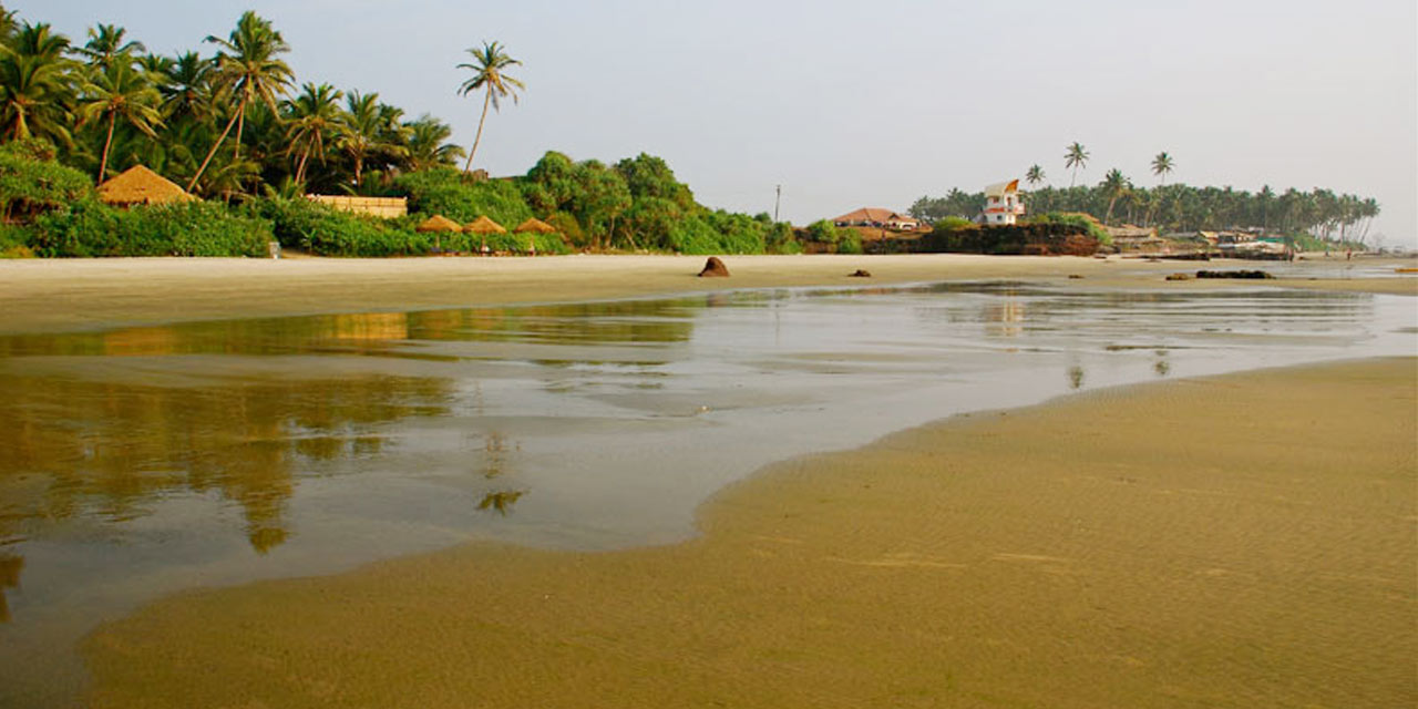 Ashwem Beach Goa India Location Activities Night Life