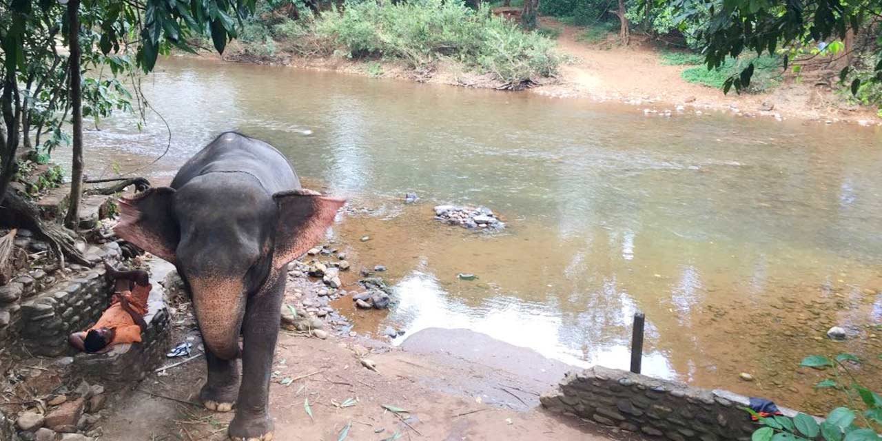 Bhagwan Mahavir Wildlife Sanctuary Goa