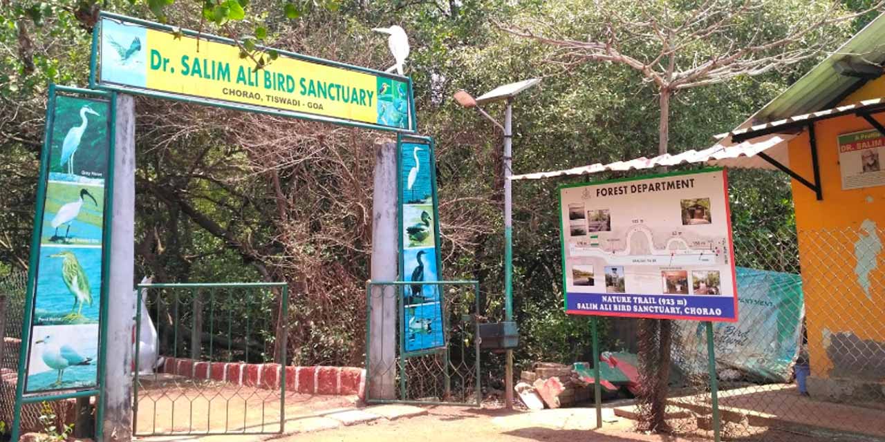 Salim Ali Bird Sanctuary Goa