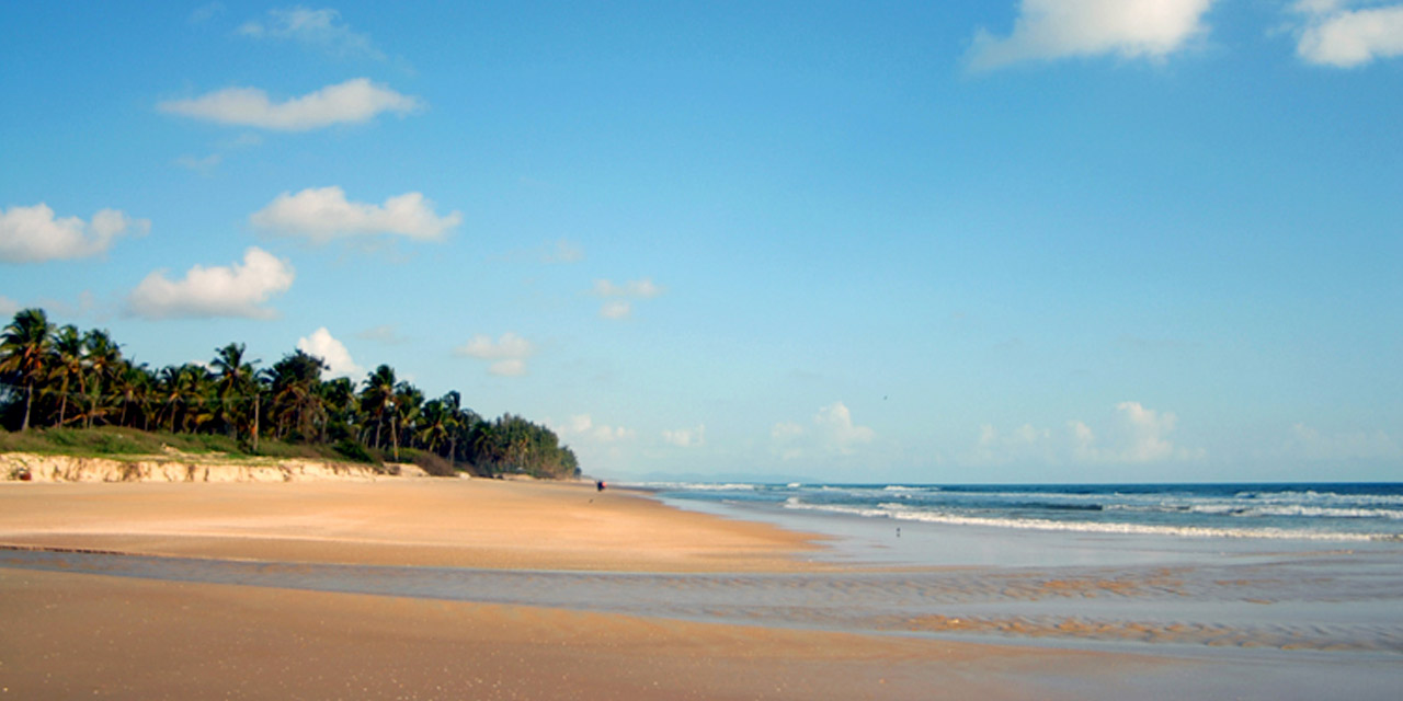 Majorda beach Goa, India (Location, Activities, Night Life, Images, Facts &  Things to do) - Goa Tourism 2022