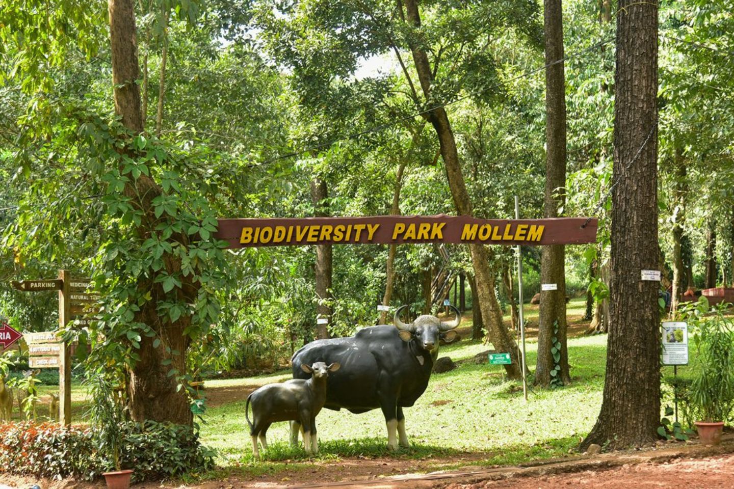 Mollem National Park