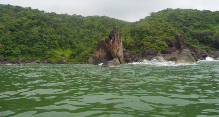 butterfly island goa tour