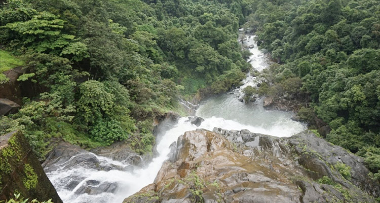 Dudhsagar Waterfall Goa, India (Timings, Location, Best Time to Visit ...