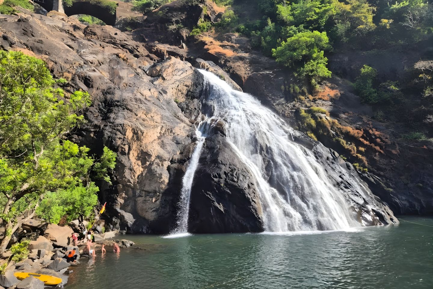 Bhagwan Mahavir Wildlife Sanctuary Goa