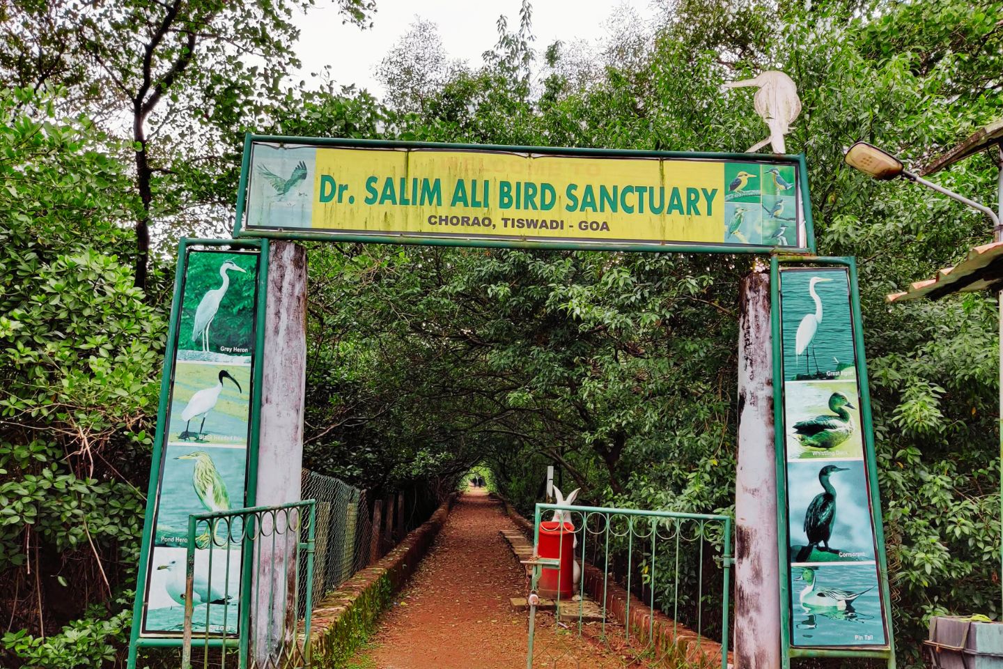 Salim Ali Bird Sanctuary Goa